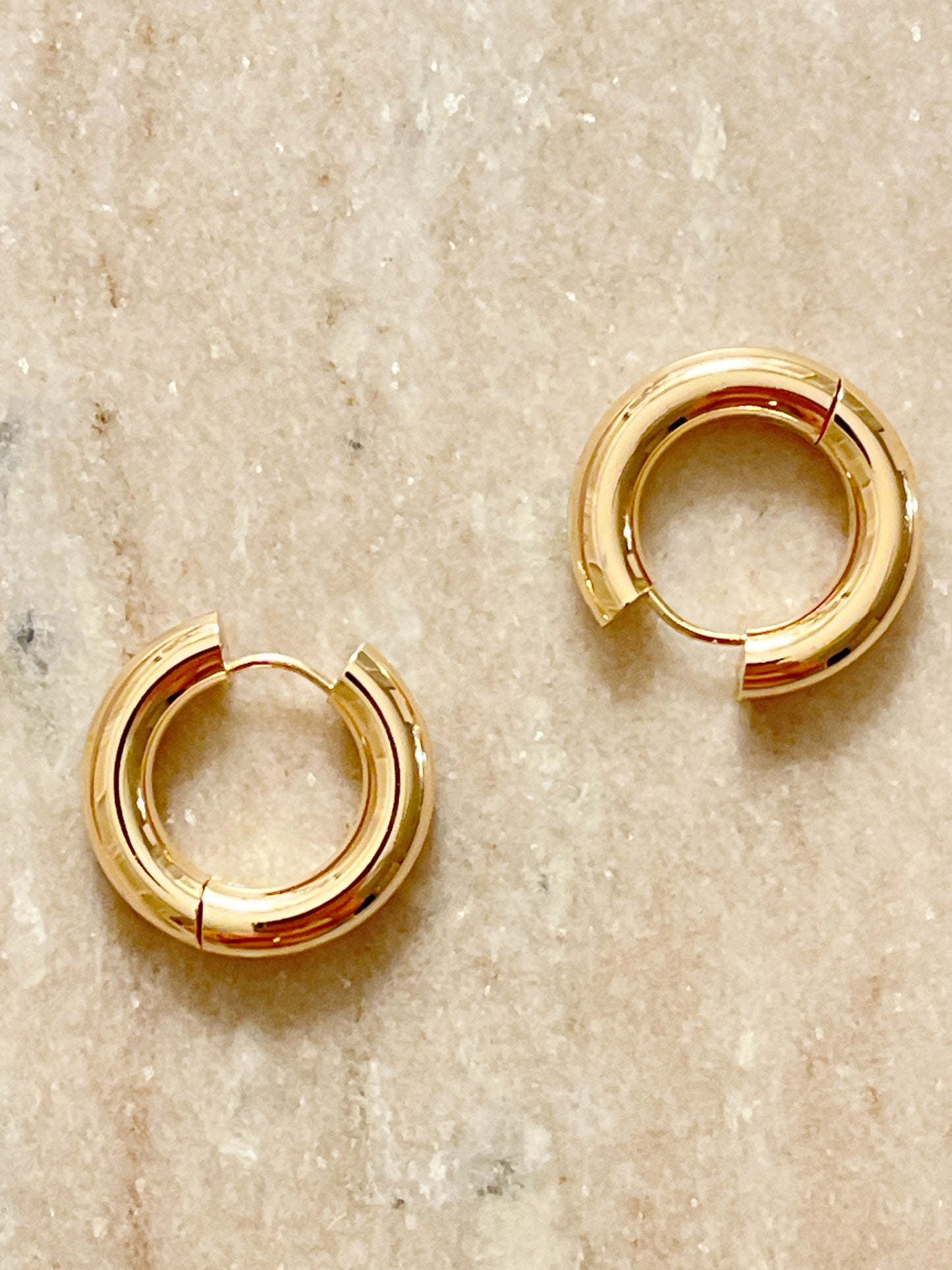 Circle Hoop Earrings