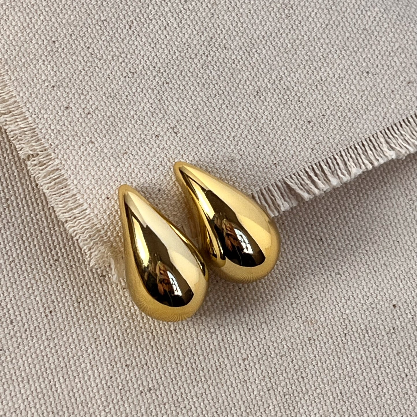 Dior Earrings