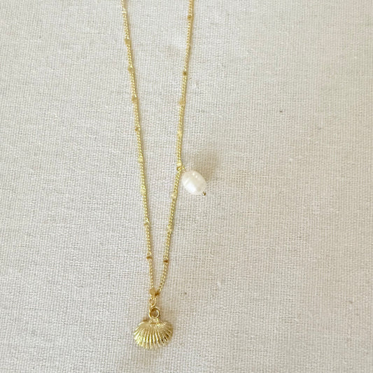 Laguna Shell Necklace